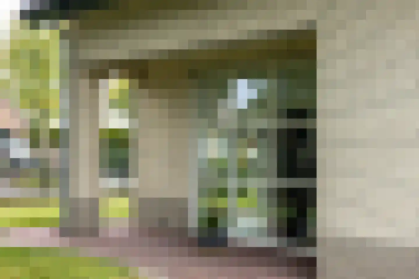 Dorsvlegel 22 Bergharen thumbnail 80