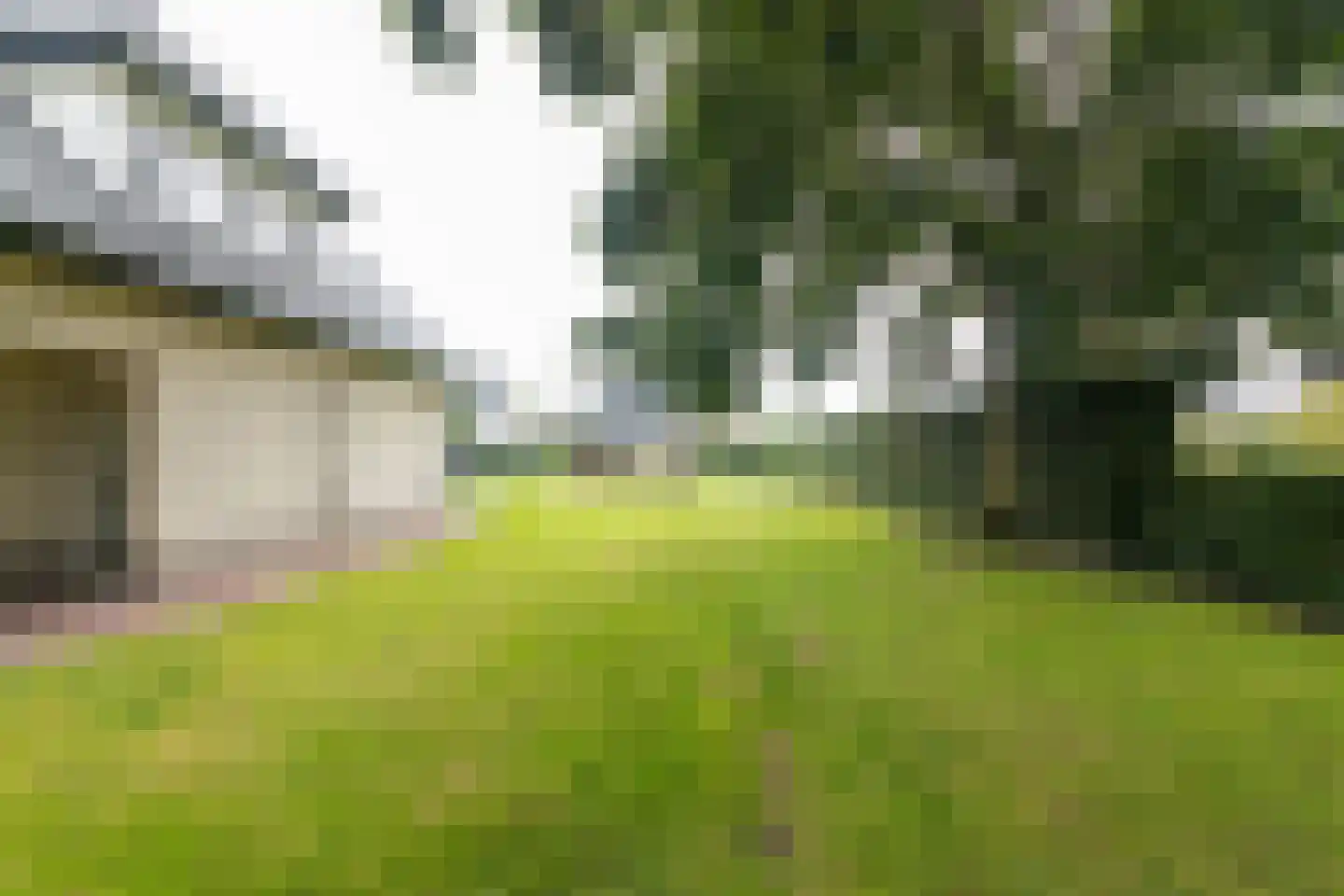 Dorsvlegel 22 Bergharen thumbnail 81