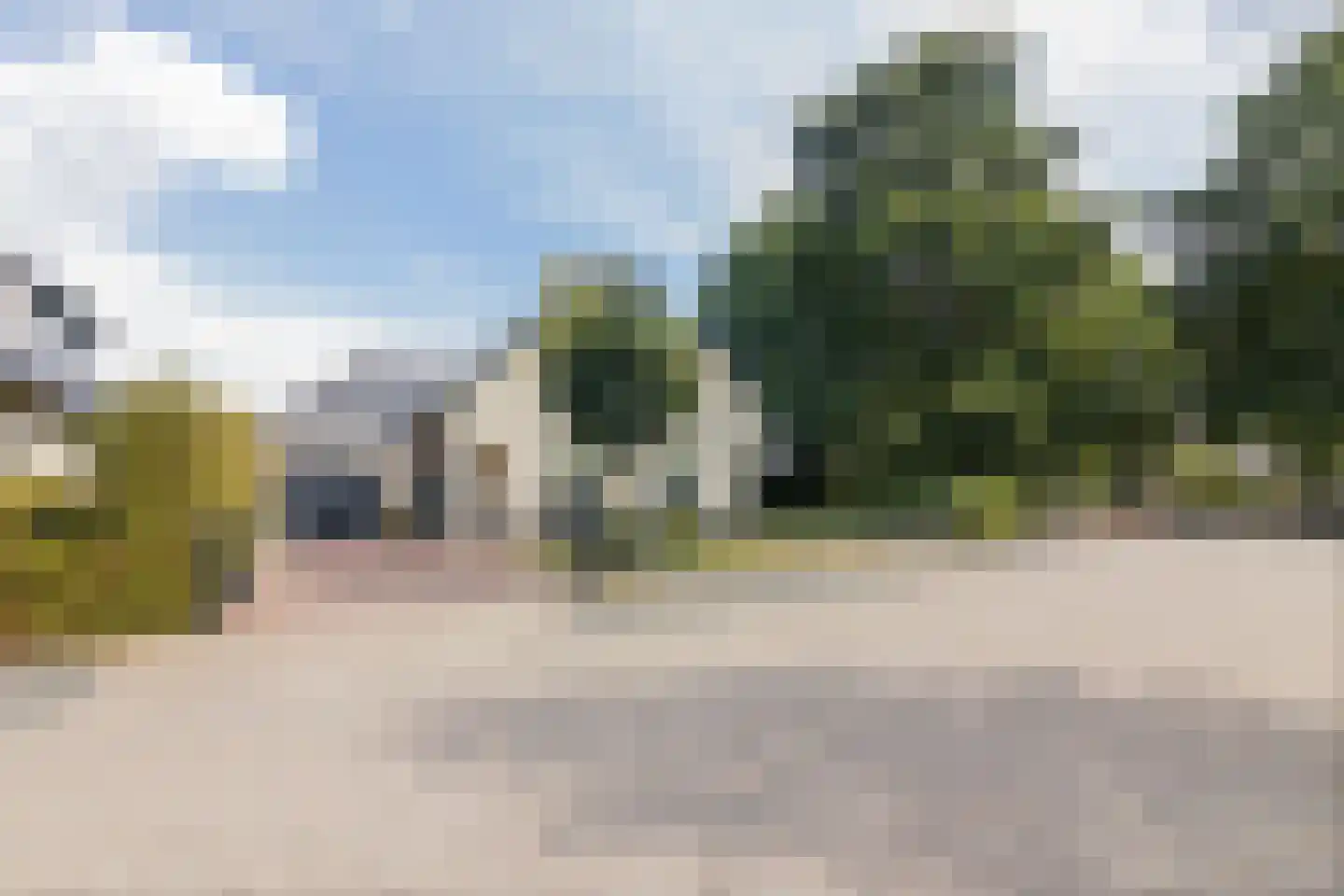 Dorsvlegel 22 Bergharen thumbnail 83
