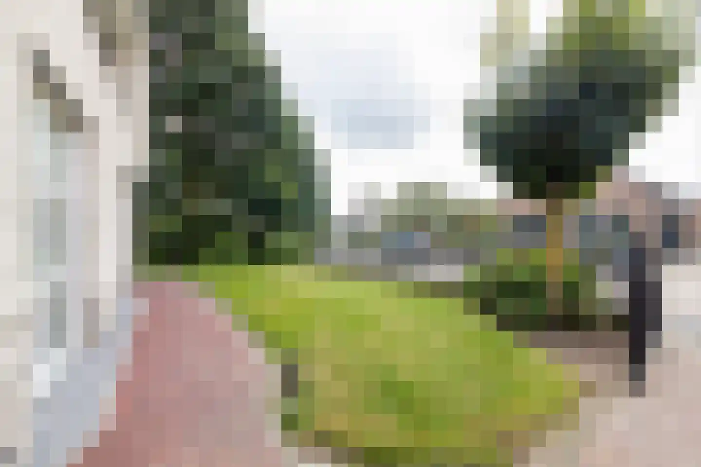 Dorsvlegel 22 Bergharen thumbnail 84