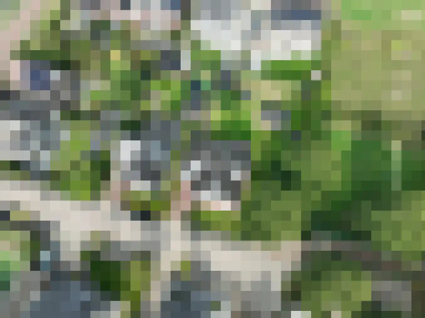 Dorsvlegel 22 Bergharen thumbnail 87