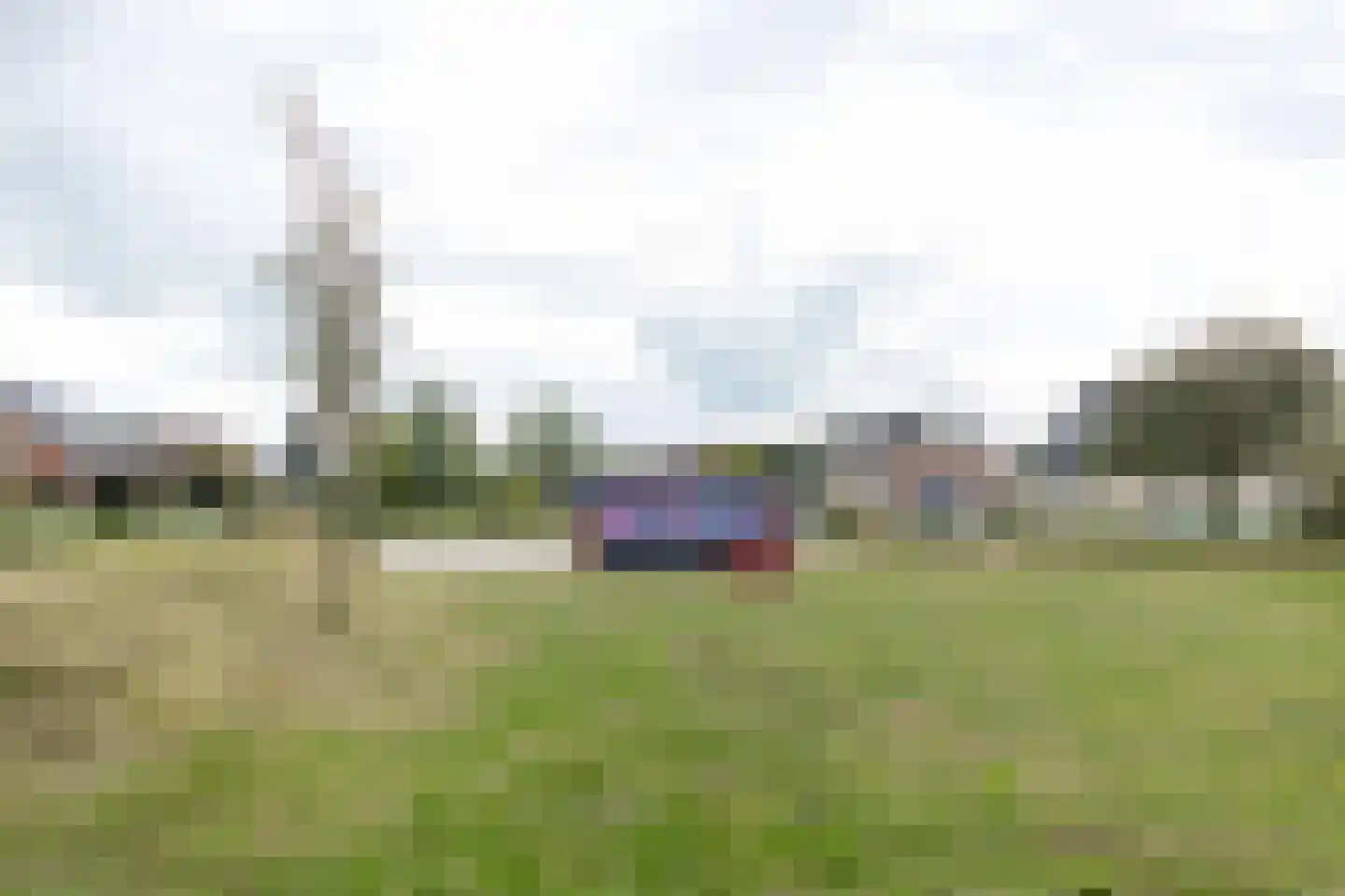Dorsvlegel 22 Bergharen thumbnail 88