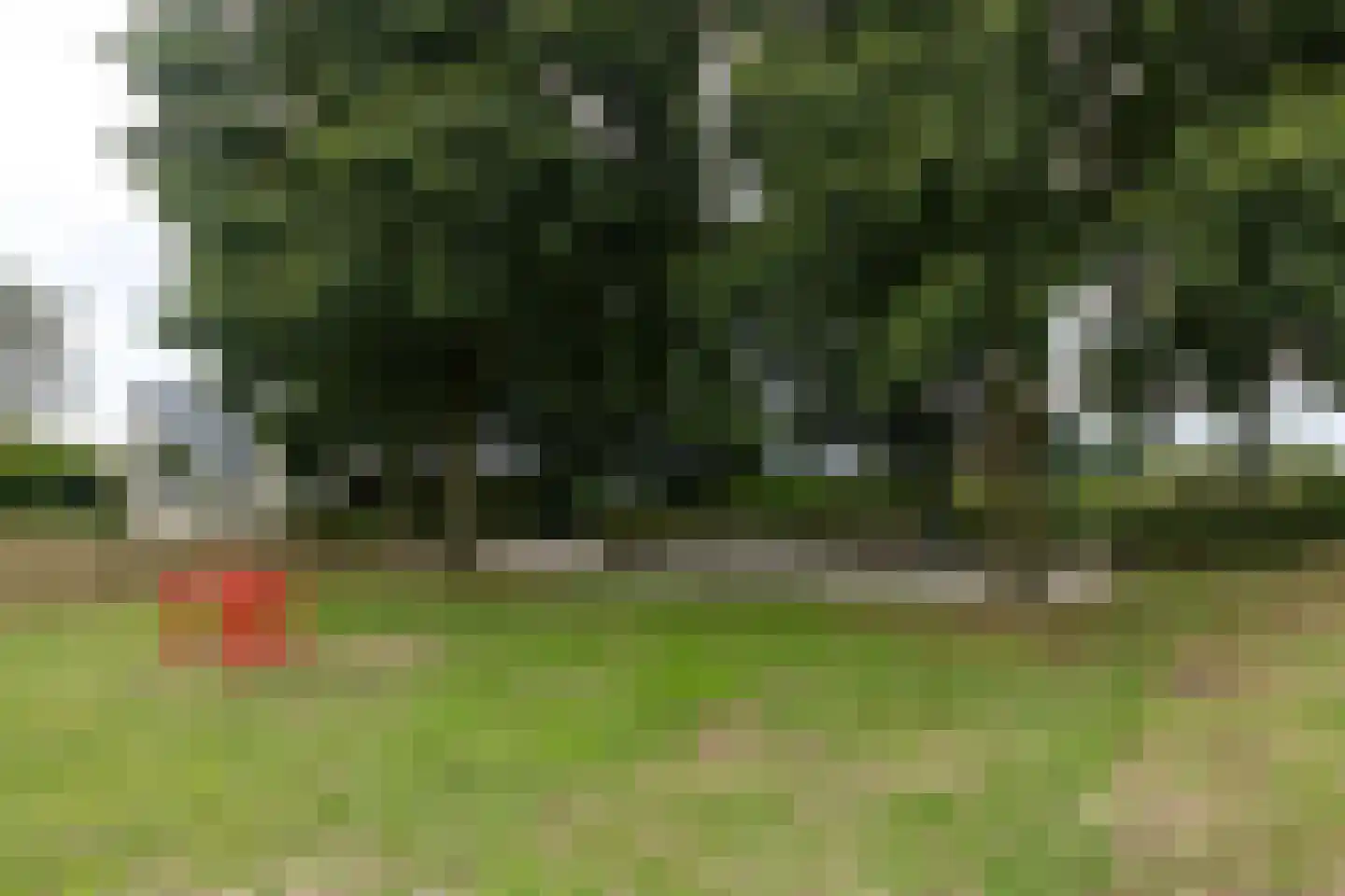 Dorsvlegel 22 Bergharen thumbnail 89