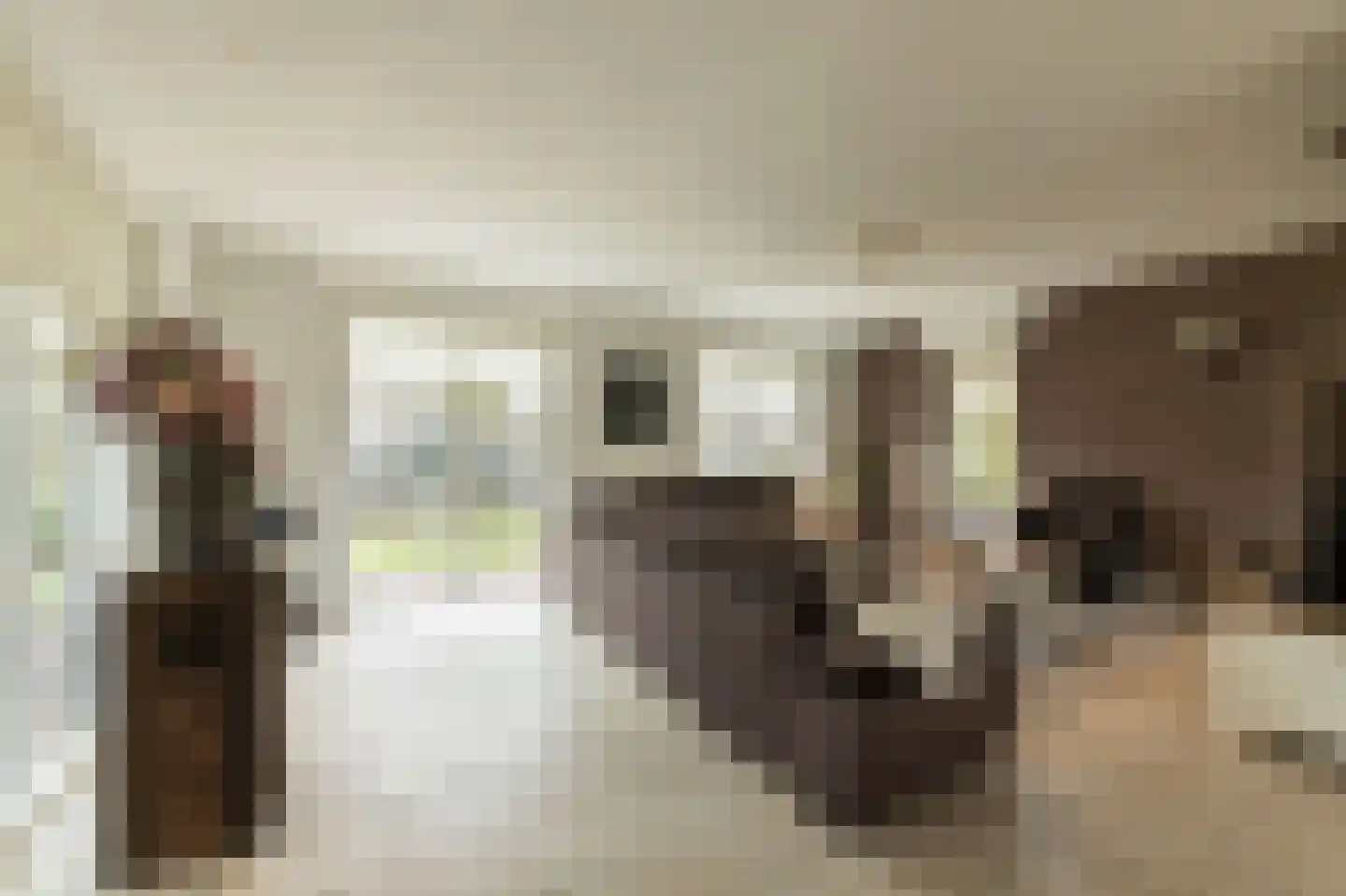 Dorsvlegel 22 Bergharen thumbnail 9