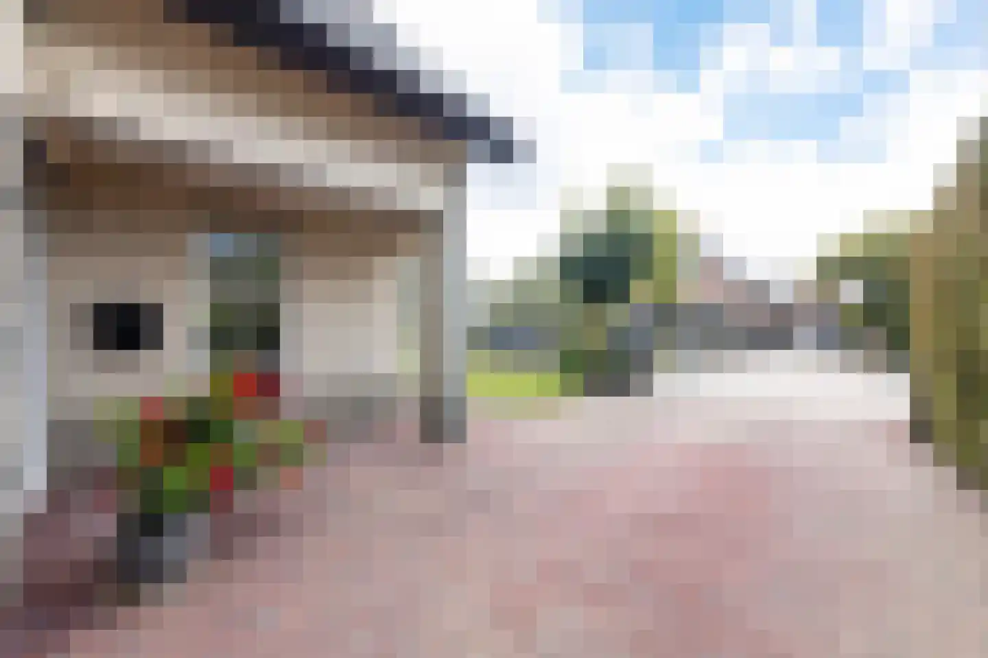 Dorsvlegel 22 Bergharen thumbnail 91
