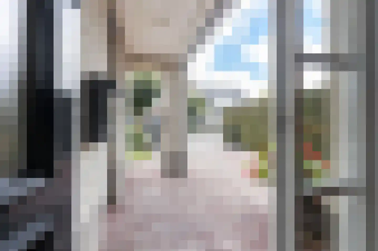 Dorsvlegel 22 Bergharen thumbnail 92