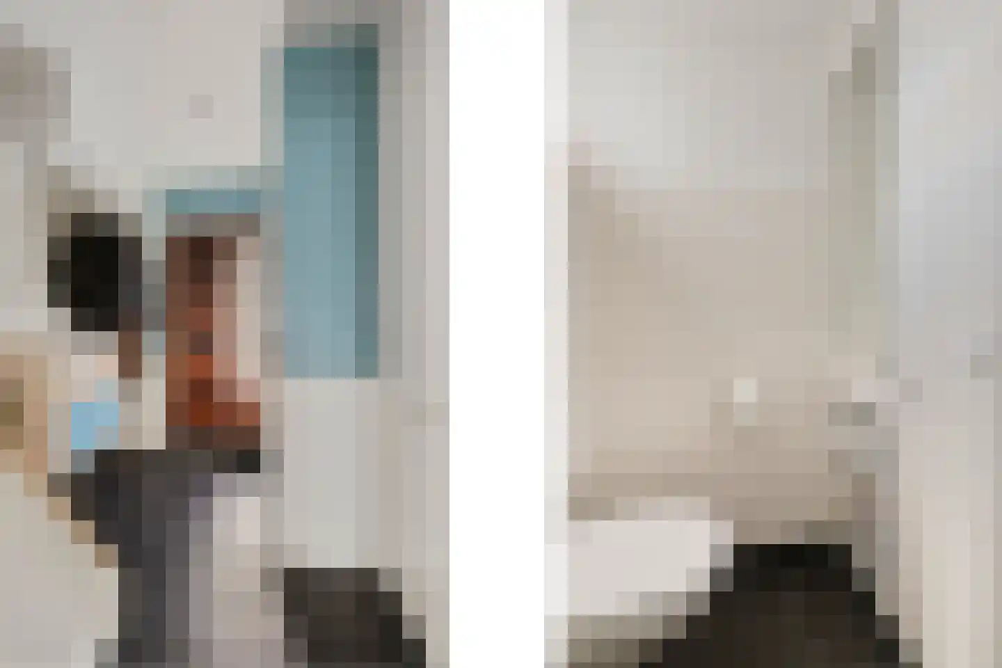 Dorsvlegel 28 Huissen thumbnail 10