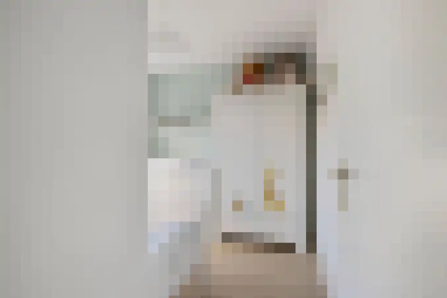Dorsvlegel 28 Huissen thumbnail 15