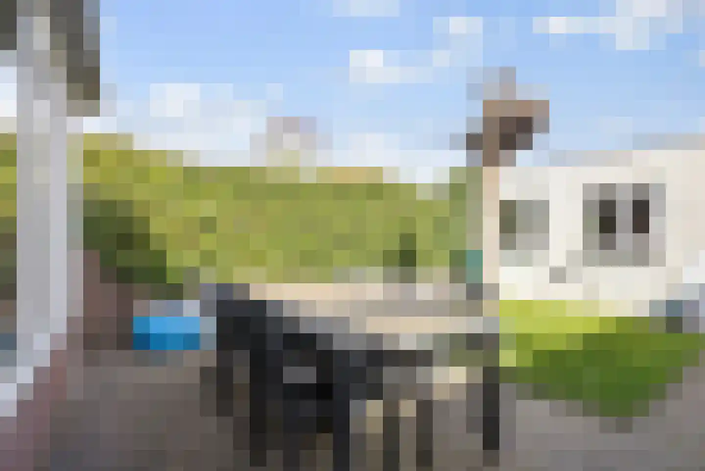 Dorsvlegel 28 Huissen thumbnail 20