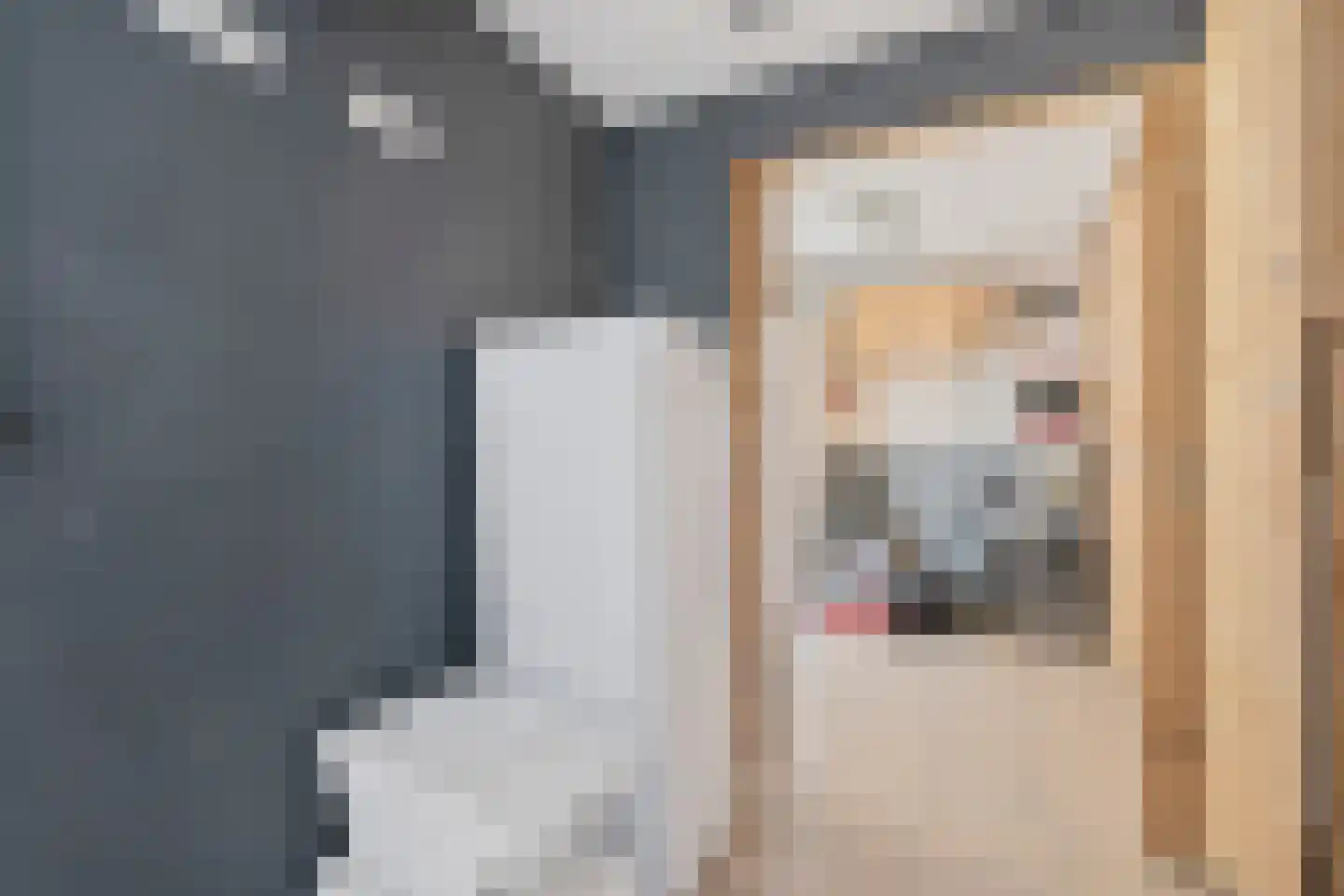 Dorsvlegel 28 Huissen thumbnail 22
