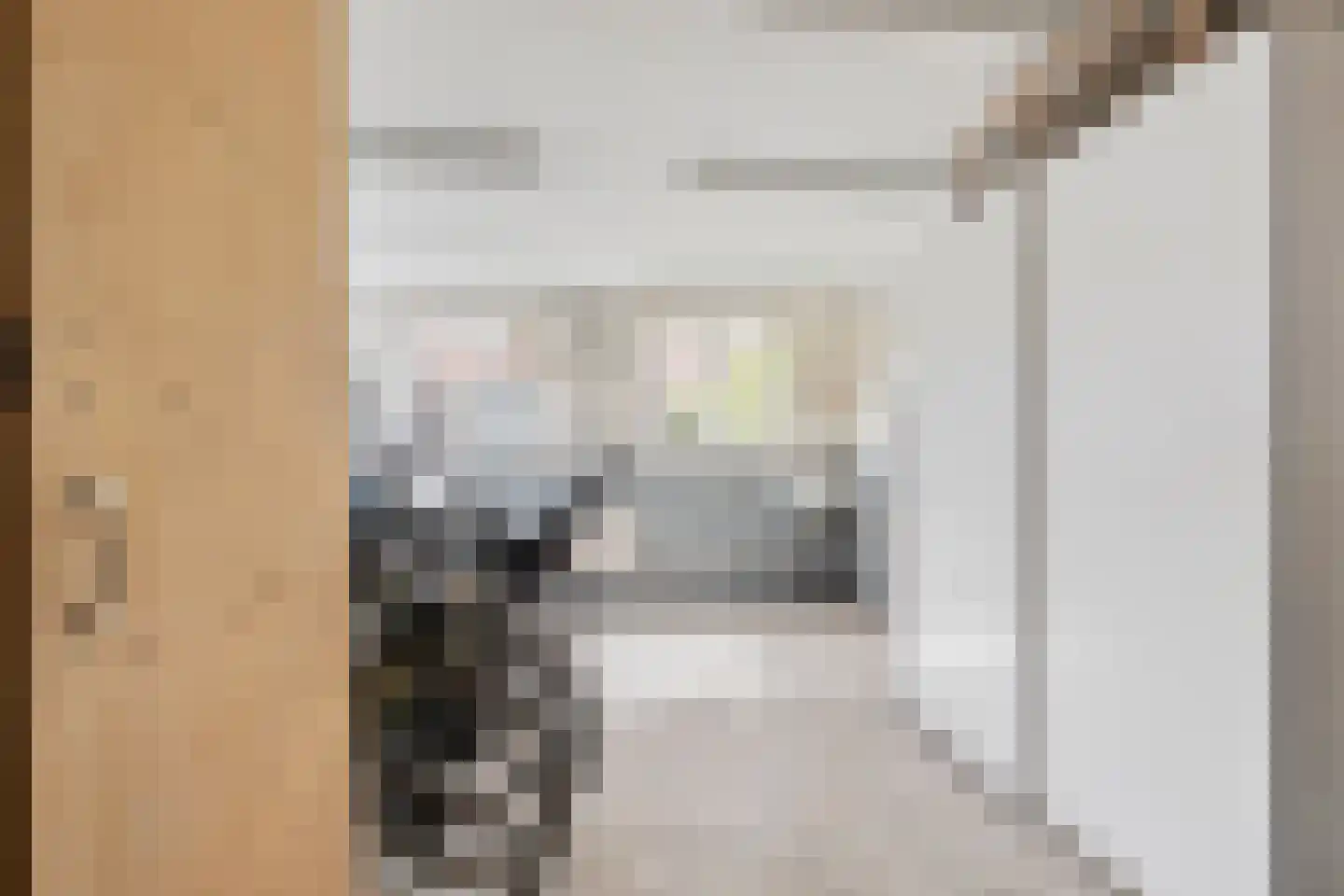 Dorsvlegel 28 Huissen thumbnail 23