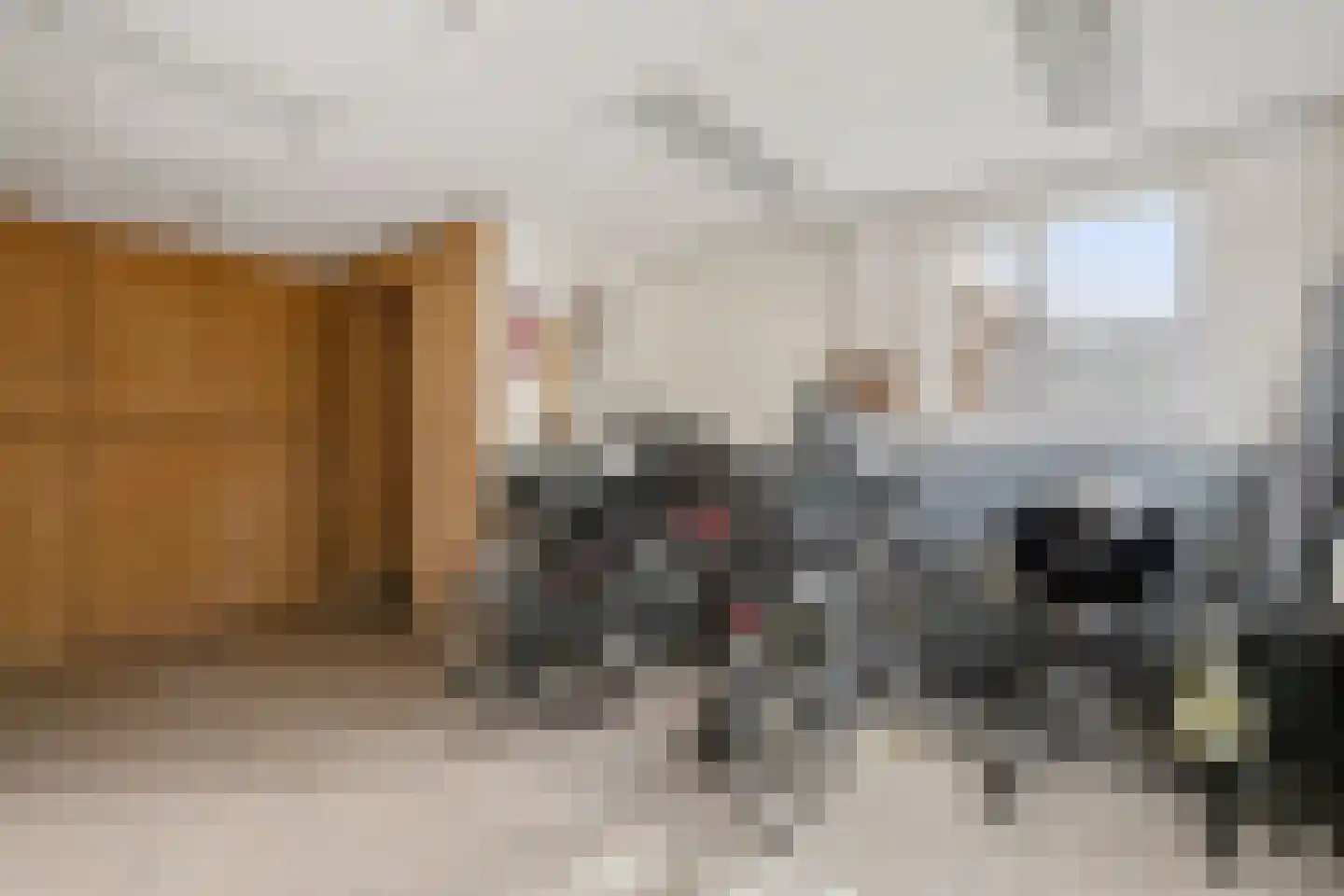 Dorsvlegel 28 Huissen thumbnail 24