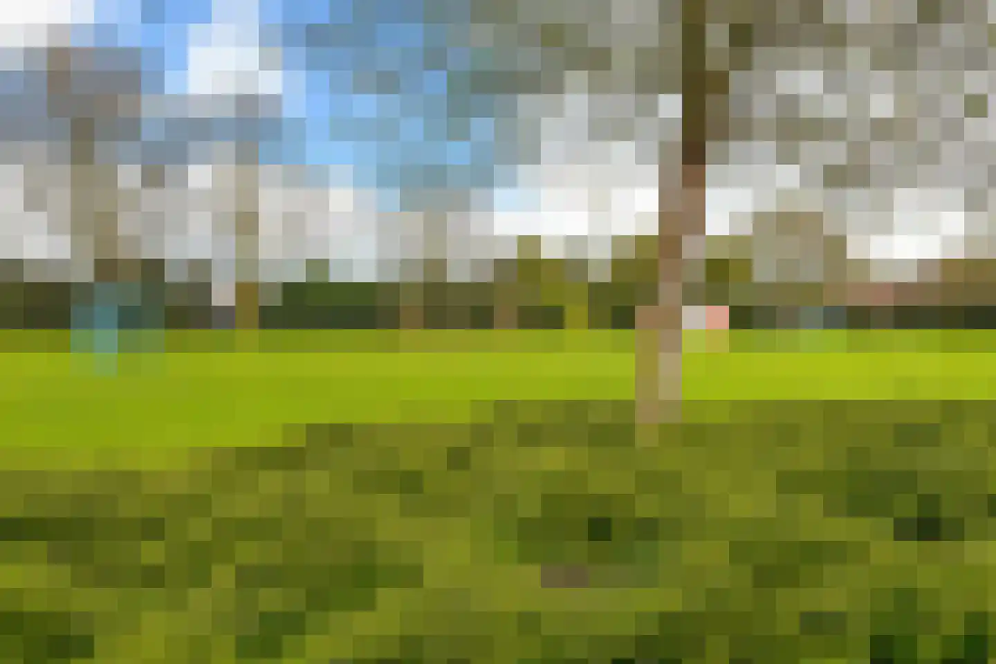 Dorsvlegel 28 Huissen thumbnail 27