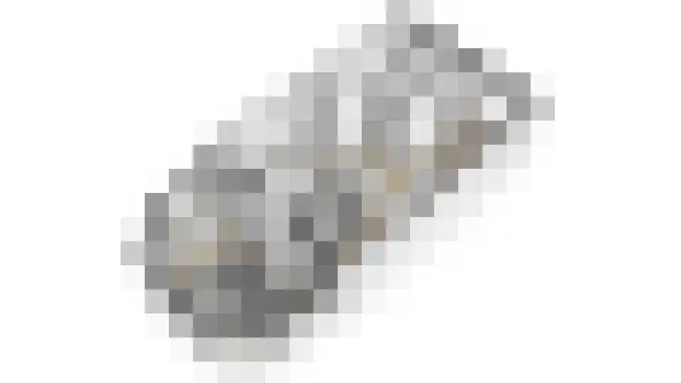 Dorsvlegel 28 Huissen thumbnail 30