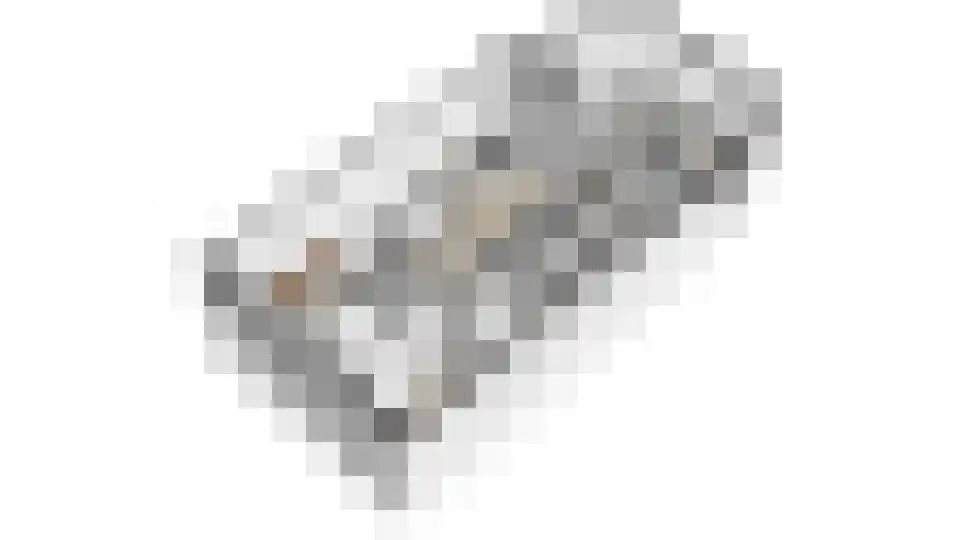Dorsvlegel 28 Huissen thumbnail 31