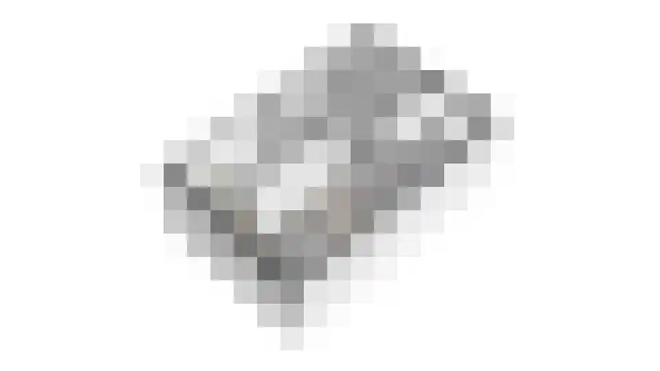 Dorsvlegel 28 Huissen thumbnail 33