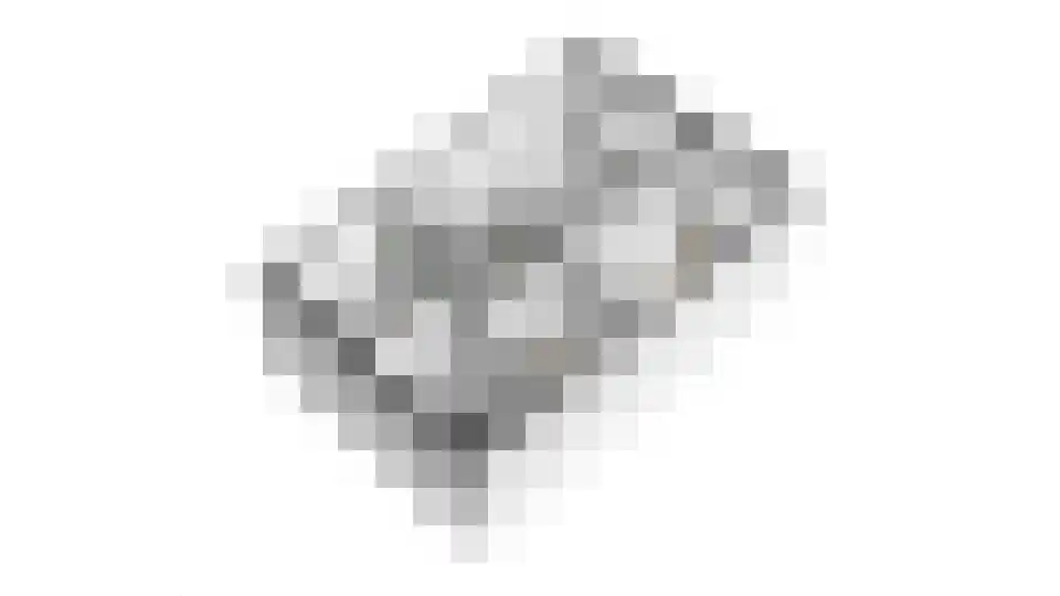 Dorsvlegel 28 Huissen thumbnail 34