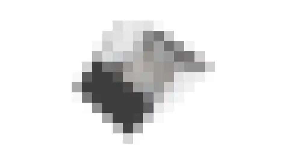 Dorsvlegel 28 Huissen thumbnail 36