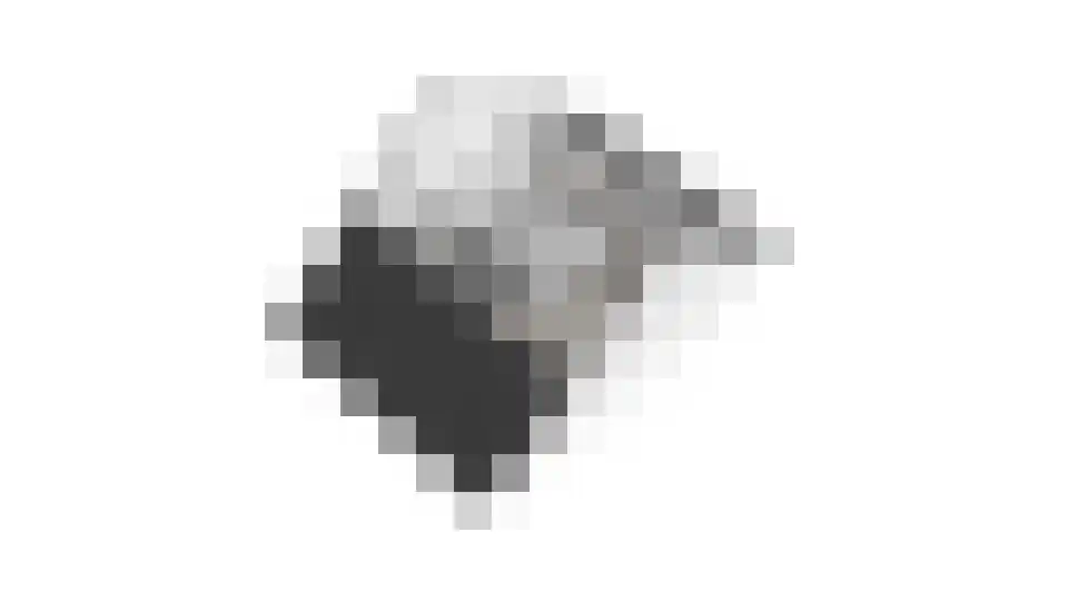 Dorsvlegel 28 Huissen thumbnail 37