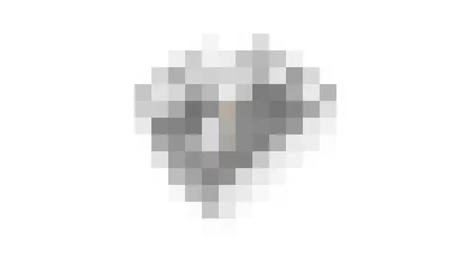 Dorsvlegel 28 Huissen thumbnail 39