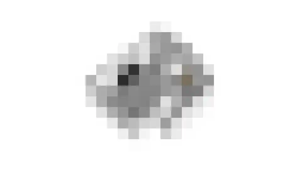 Dorsvlegel 28 Huissen thumbnail 40