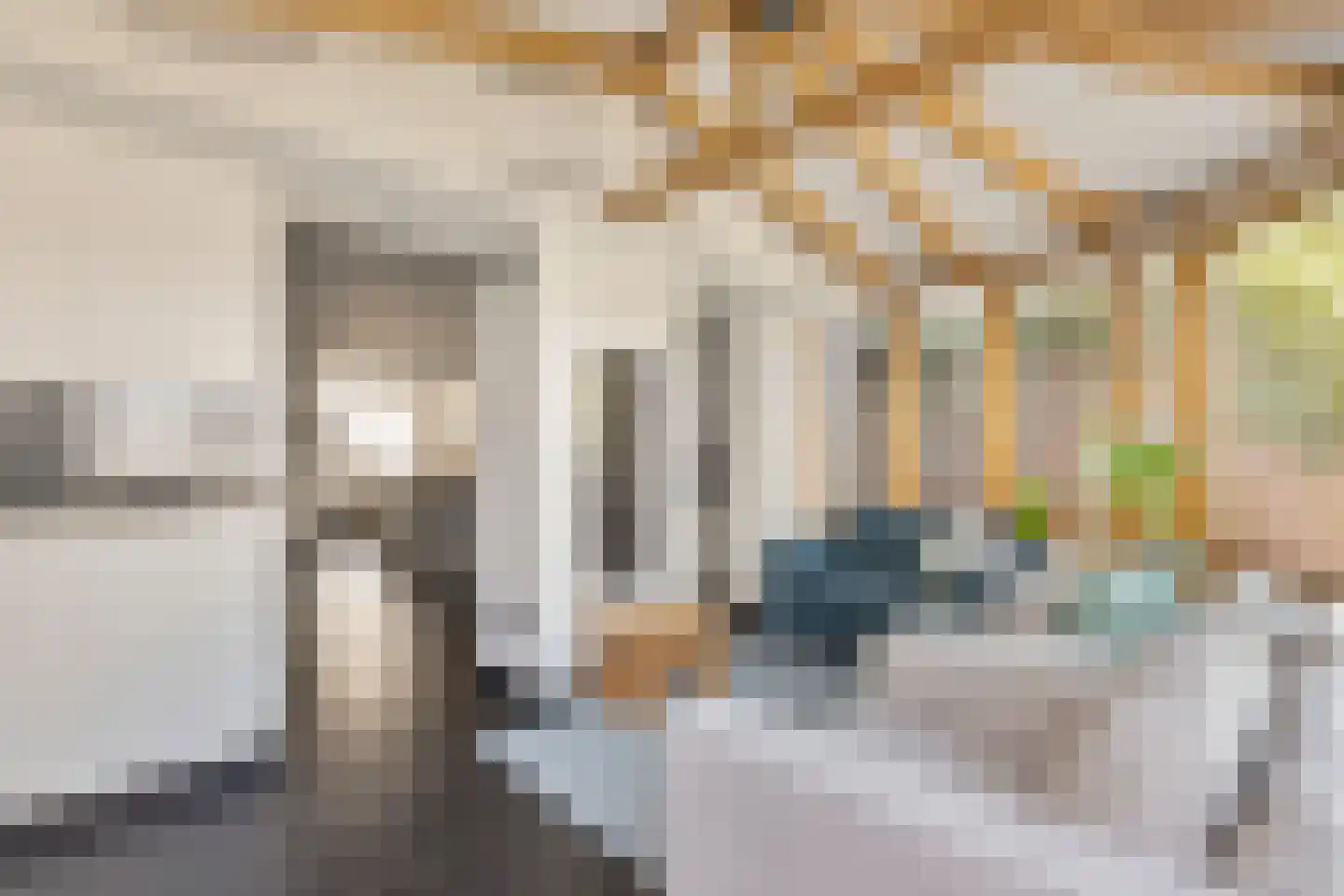 Dorsvlegel 28 Huissen thumbnail 6