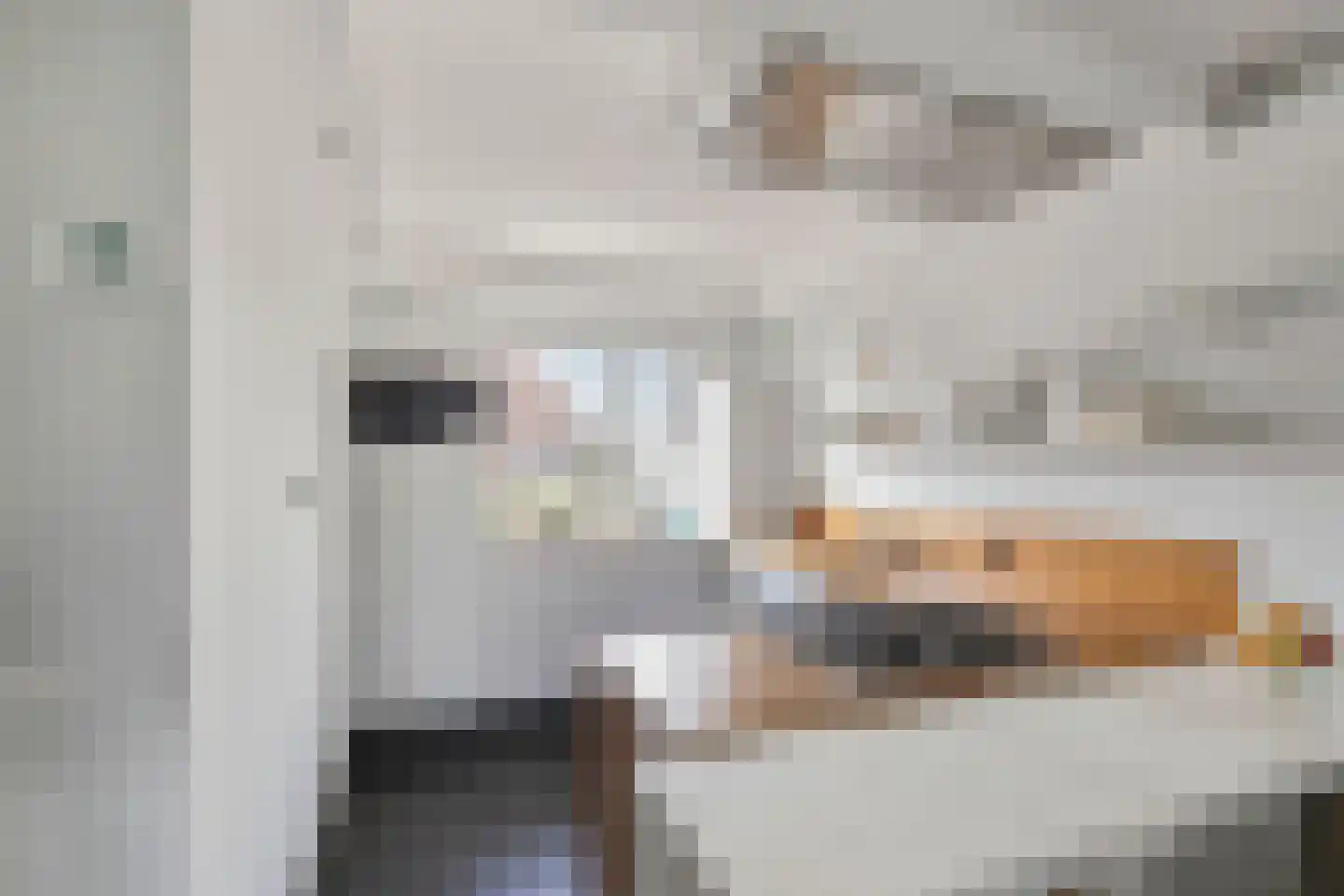 Dorsvlegel 28 Huissen thumbnail 8