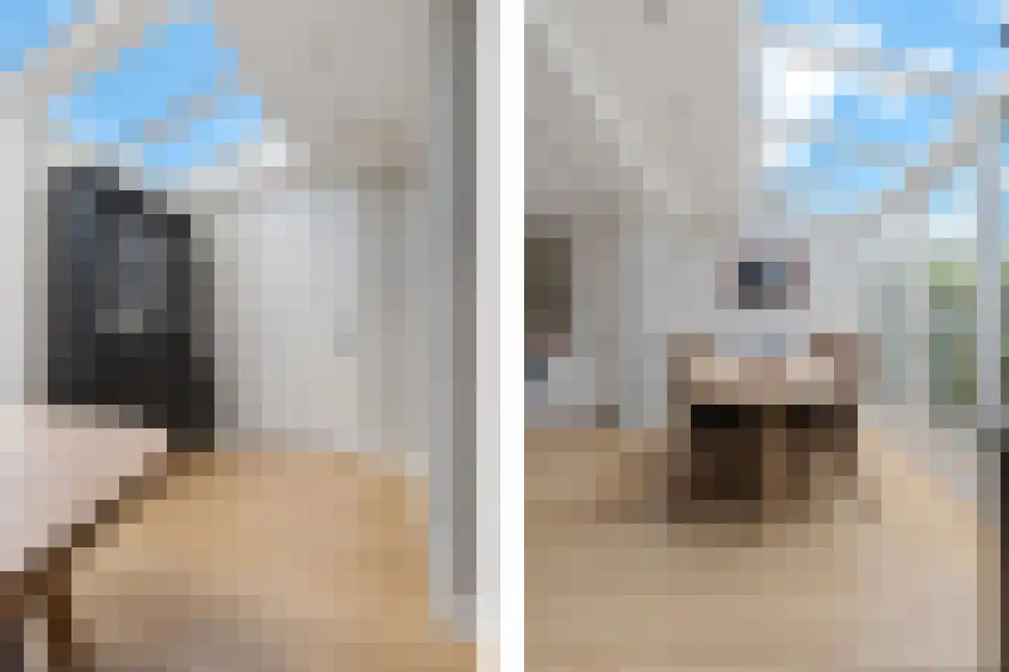 Dorsvlegel 30 Warmenhuizen thumbnail 14