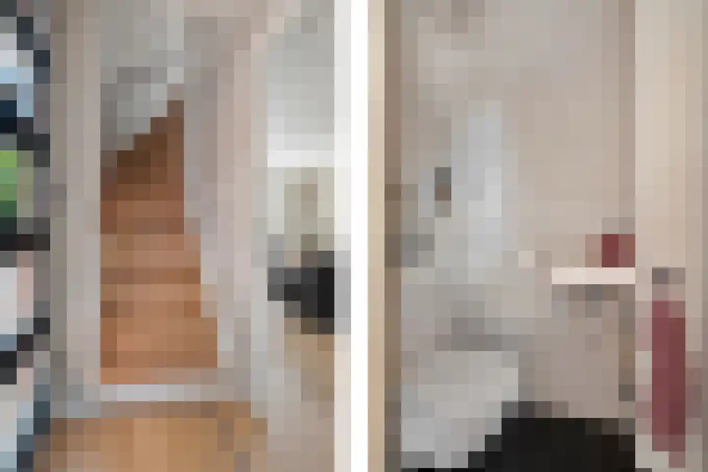 Dorsvlegel 30 Warmenhuizen thumbnail 16
