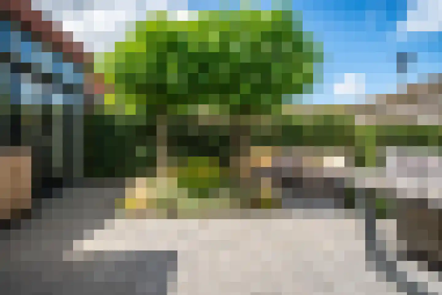 Dorsvlegel 30 Warmenhuizen foto 2