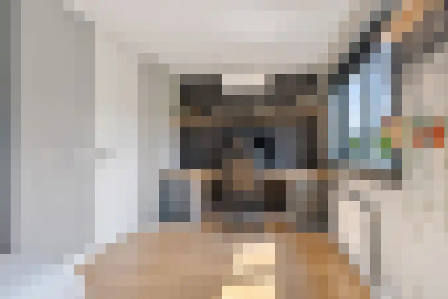 Dorsvlegel 30 Warmenhuizen thumbnail 21