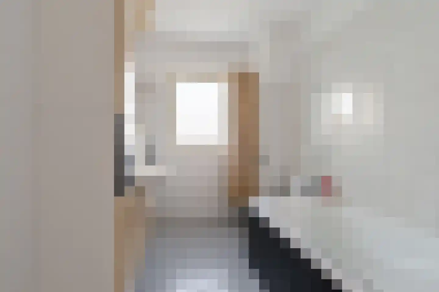 Dorsvlegel 30 Warmenhuizen thumbnail 23