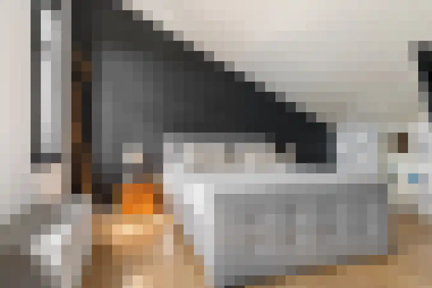 Dorsvlegel 30 Warmenhuizen thumbnail 26