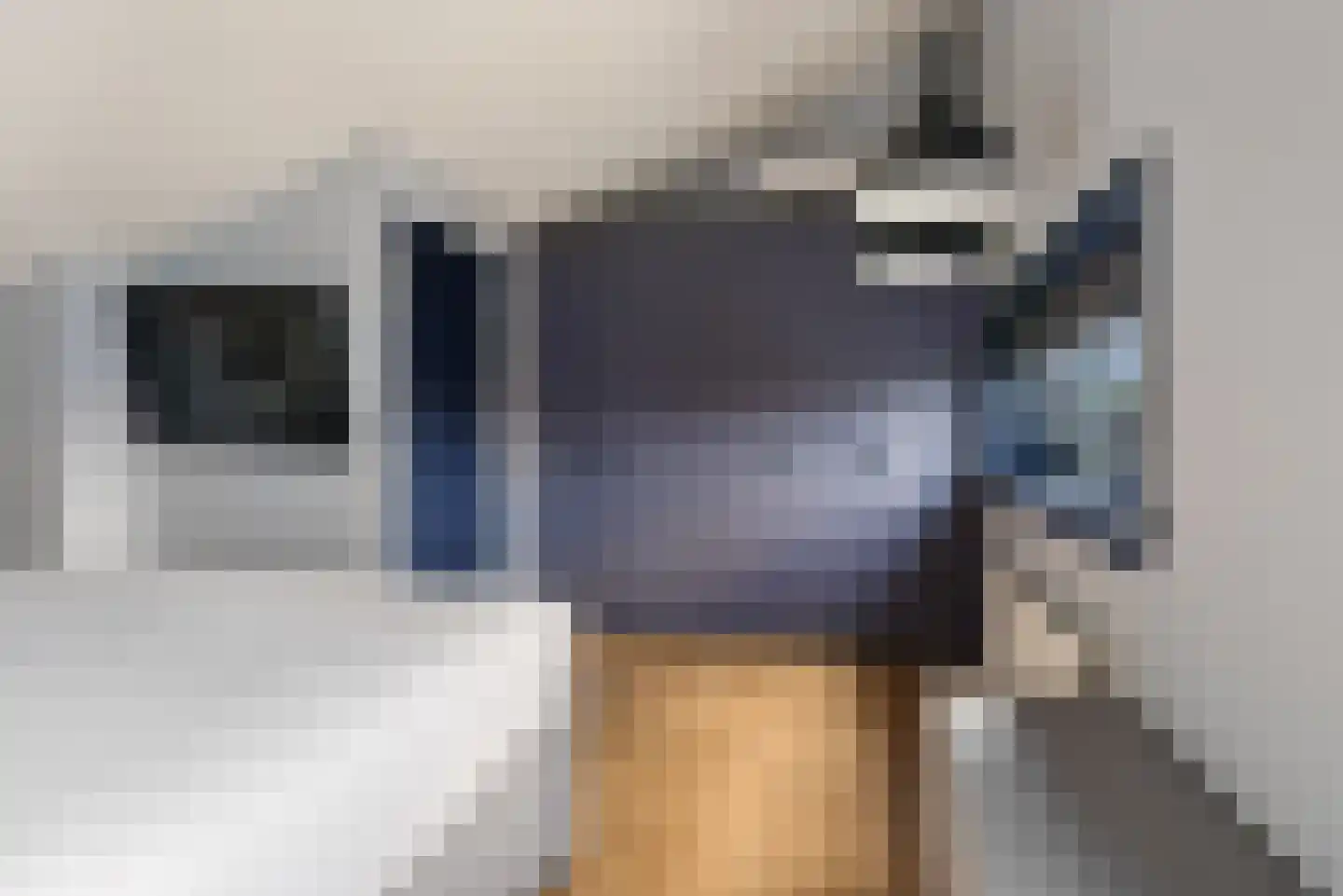 Dorsvlegel 30 Warmenhuizen thumbnail 29