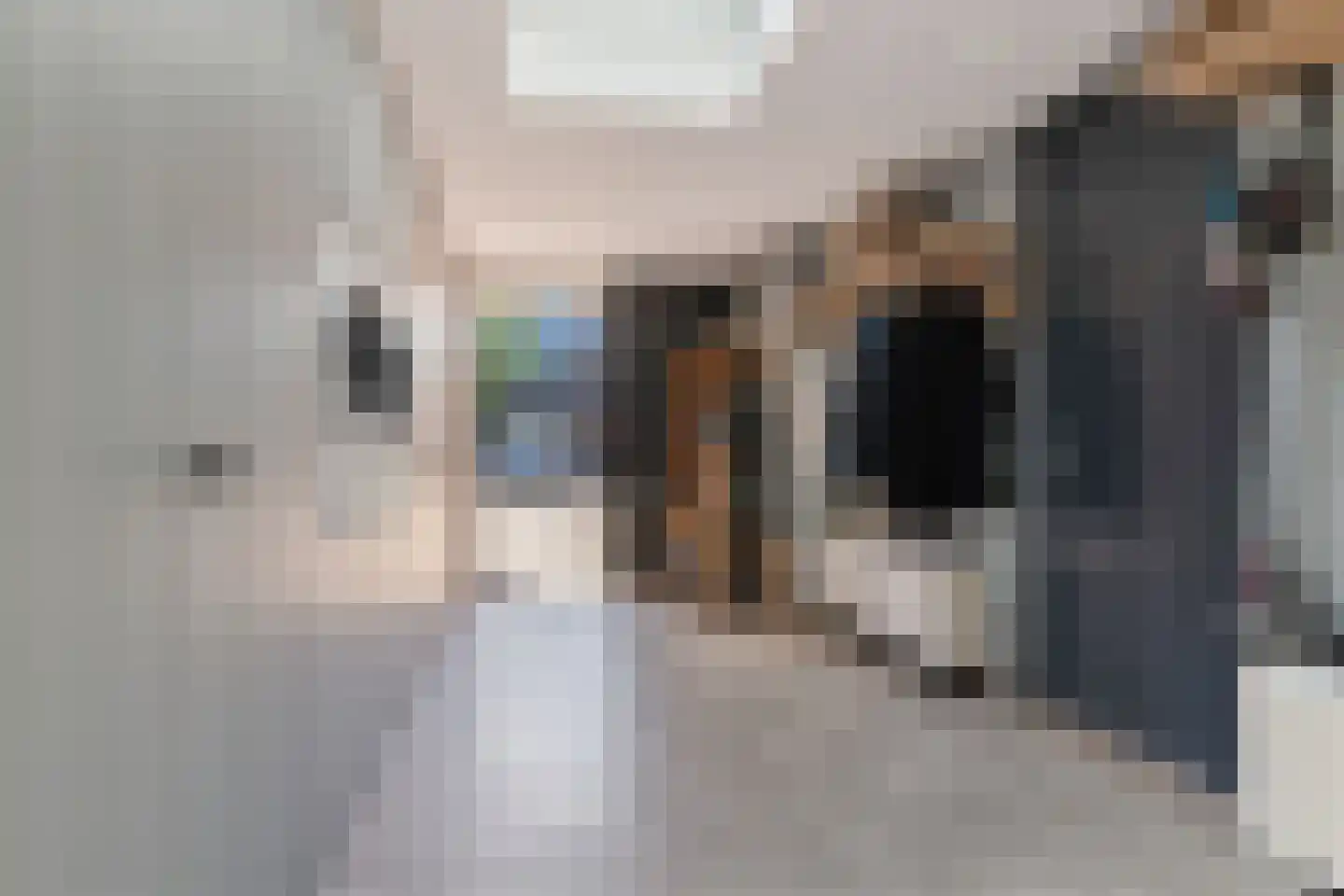 Dorsvlegel 30 Warmenhuizen thumbnail 32