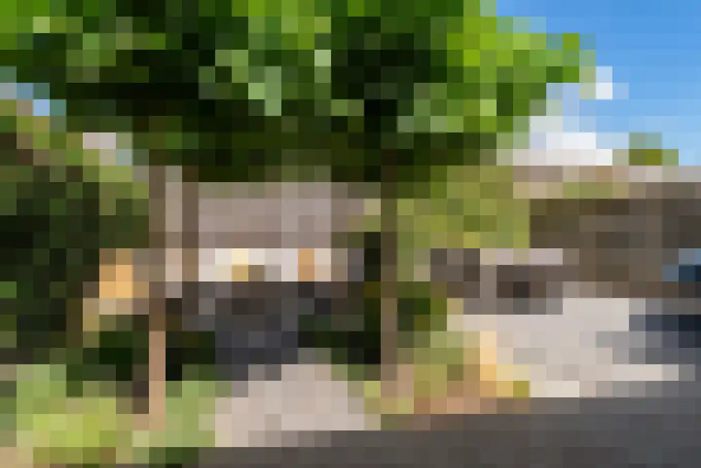 Dorsvlegel 30 Warmenhuizen thumbnail 34