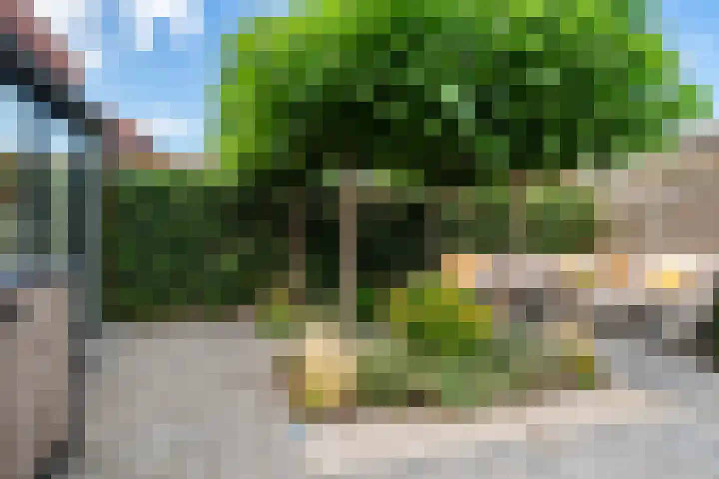 Dorsvlegel 30 Warmenhuizen thumbnail 35