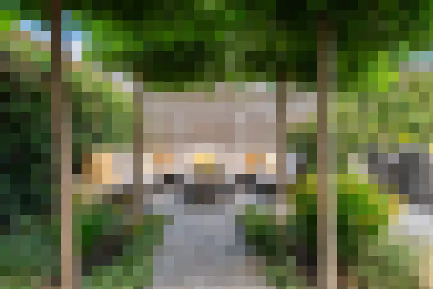 Dorsvlegel 30 Warmenhuizen thumbnail 37