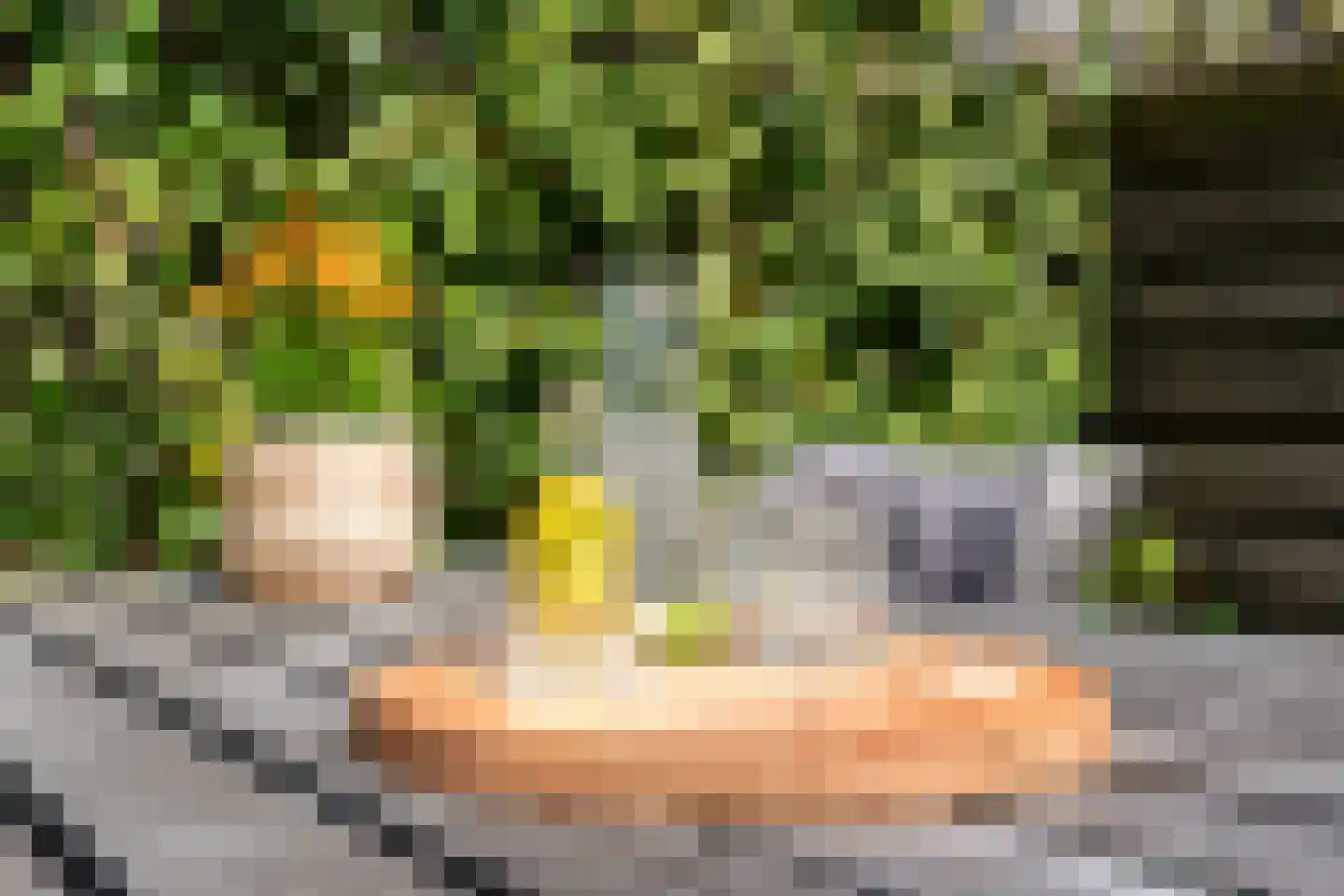 Dorsvlegel 30 Warmenhuizen thumbnail 38