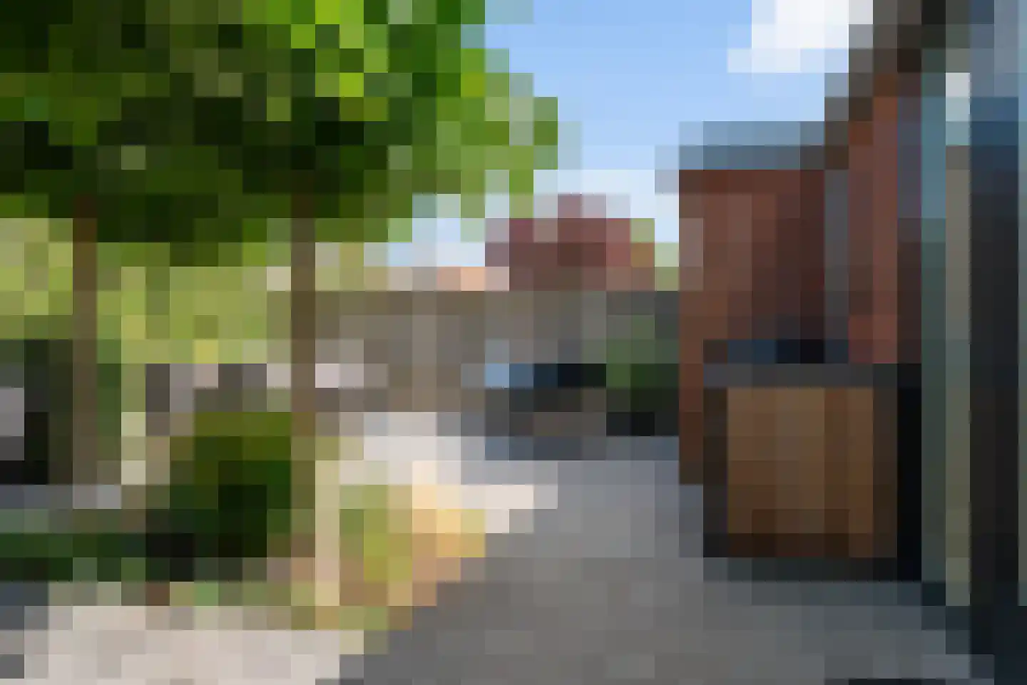 Dorsvlegel 30 Warmenhuizen thumbnail 42