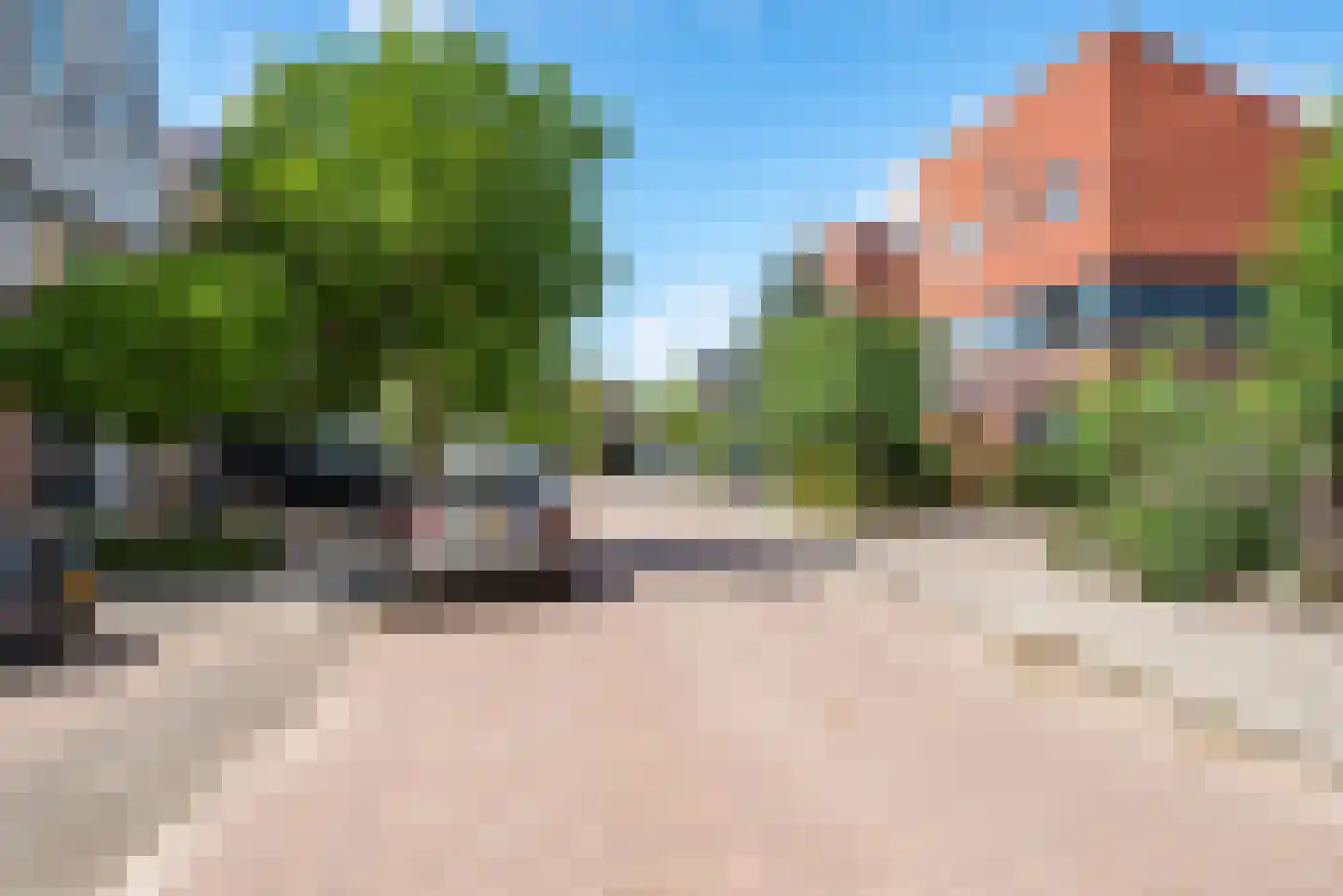 Dorsvlegel 30 Warmenhuizen thumbnail 45