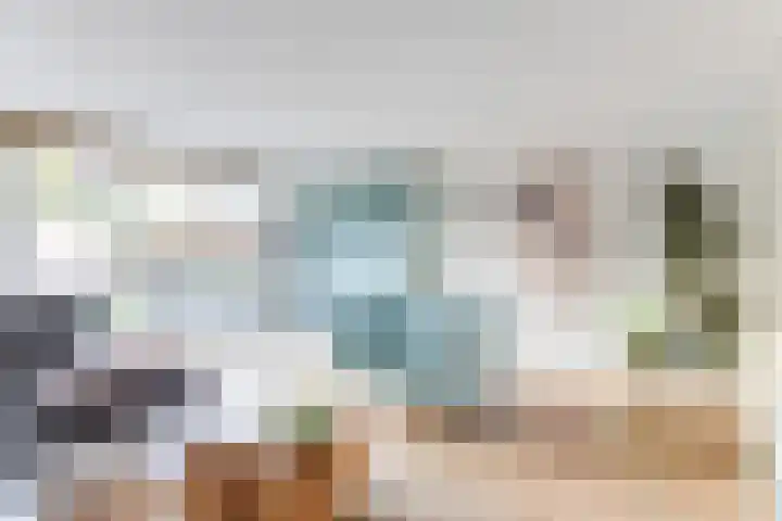 Dorsvlegel 31 Warmenhuizen thumbnail 10