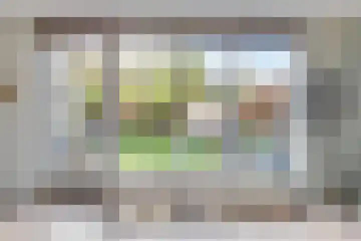 Dorsvlegel 31 Warmenhuizen thumbnail 11