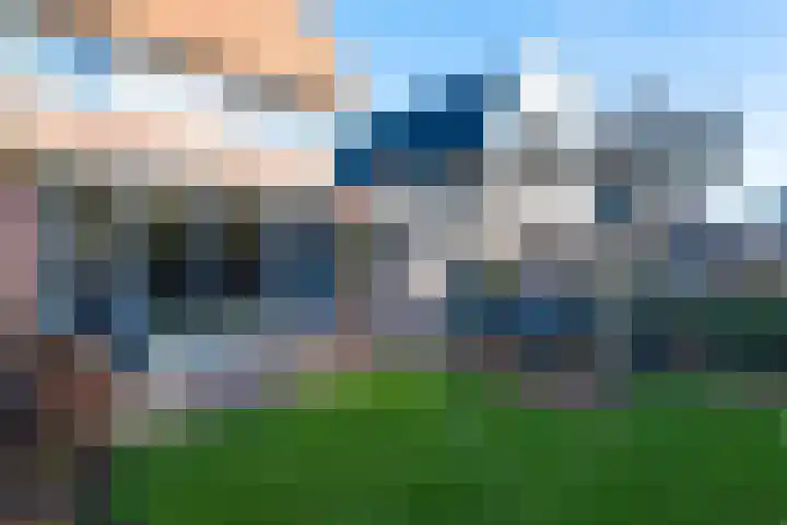 Dorsvlegel 31 Warmenhuizen thumbnail 12