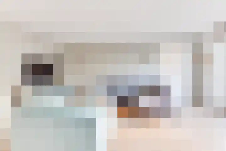 Dorsvlegel 31 Warmenhuizen thumbnail 15