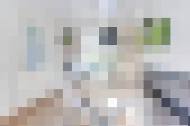 Dorsvlegel 31 Warmenhuizen thumbnail 19