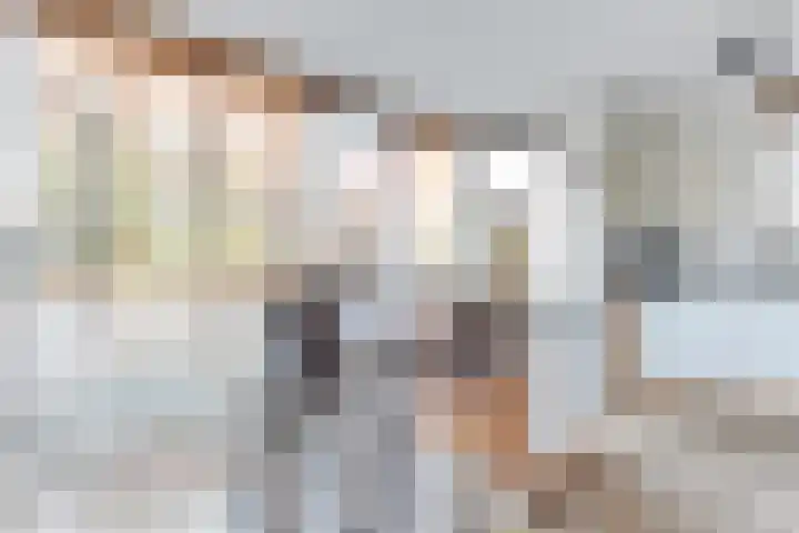 Dorsvlegel 31 Warmenhuizen thumbnail 21