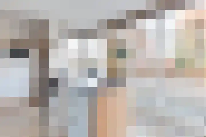 Dorsvlegel 31 Warmenhuizen thumbnail 22