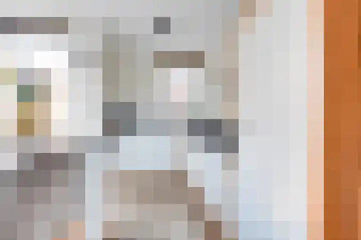 Dorsvlegel 31 Warmenhuizen thumbnail 23