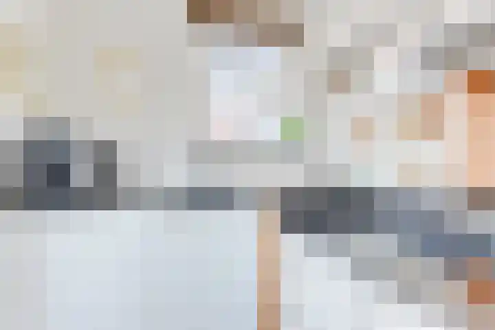 Dorsvlegel 31 Warmenhuizen thumbnail 25
